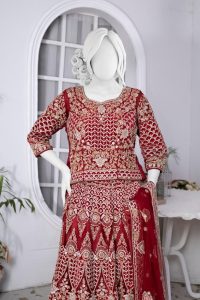 Aab E Shireen Bridal Lehenga on rent in lahore- order on ketifa.pk