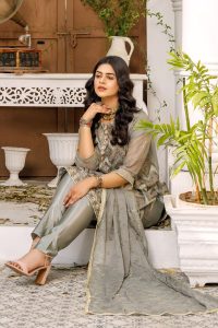 Perfect Fit chiffon article- ketifa.pk best online store for designer collection