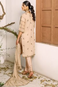 Timeless Classics chiffon suit by ketifa brand lahore- shop now today