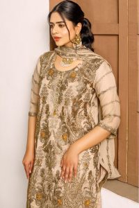 Timeless Classics chiffon suit by ketifa brand lahore- shop now today