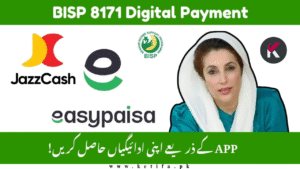 8171 Payment Not Received in Digital Wallet – Complete Fix Guide (2025 Update)