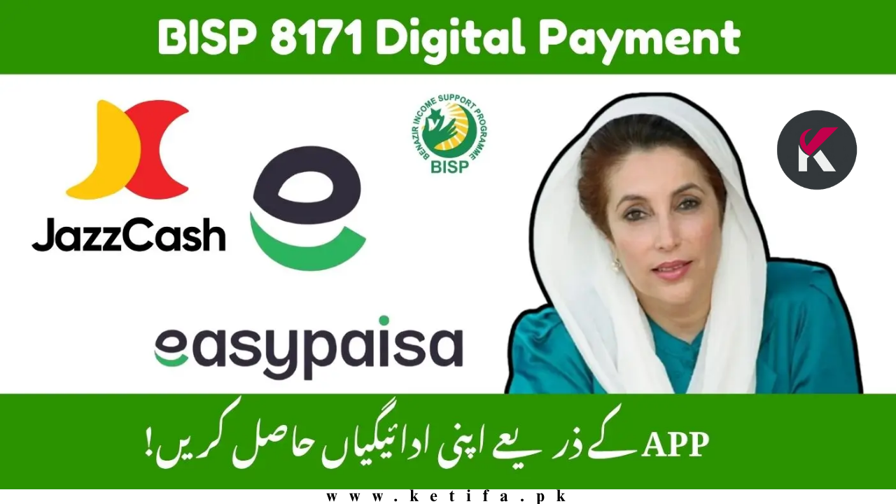 8171 Payment Not Received in Digital Wallet – Complete Fix Guide (2025 Update)