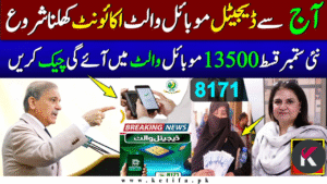 BISP 8171 Digital Wallet November 2025 – Complete Rs. 13,500 Installment Guide