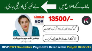 BISP 8171 November 2025 Rs 13,500 Payments Released in Punjab Districts