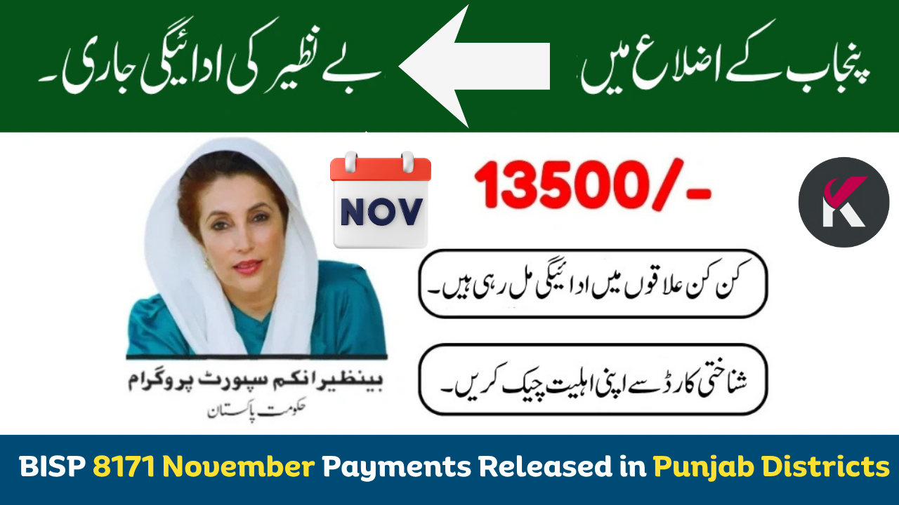 BISP 8171 November 2025 Rs 13500 Payments Released in Punjab Districts