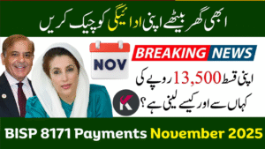 BISP 8171 Payments November 2025 – Who Will Receive This Month’s Support?