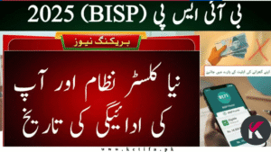 BISP Kafalat Cluster Payment System 2025 – Check Your Cluster & Confirm Payment Status Online