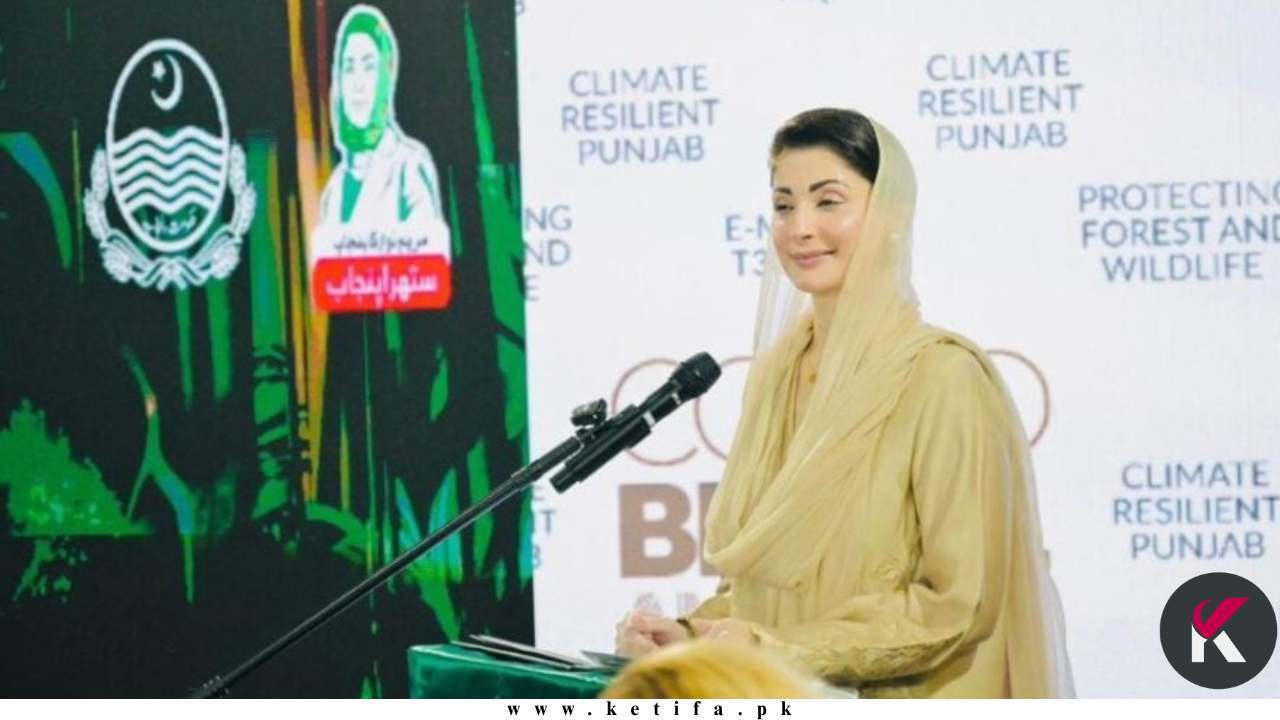 CM Maryam Nawaz Shines at COP30