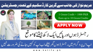 CM Punjab Green Credit Program 2025 – Earn Up to Rs. 100,000 for Going Green