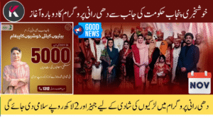 How to Apply for CM Punjab Dhee Rani Program 2025-26 – Apply Before Last Date