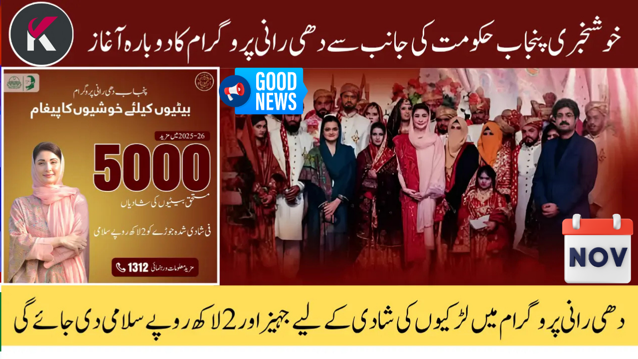 How to Apply for CM Punjab Dhee Rani Program 2025-26