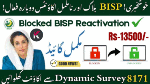 How to Reactivate Your BISP Blocked Account in November 2025 – Step-by-Step Guide