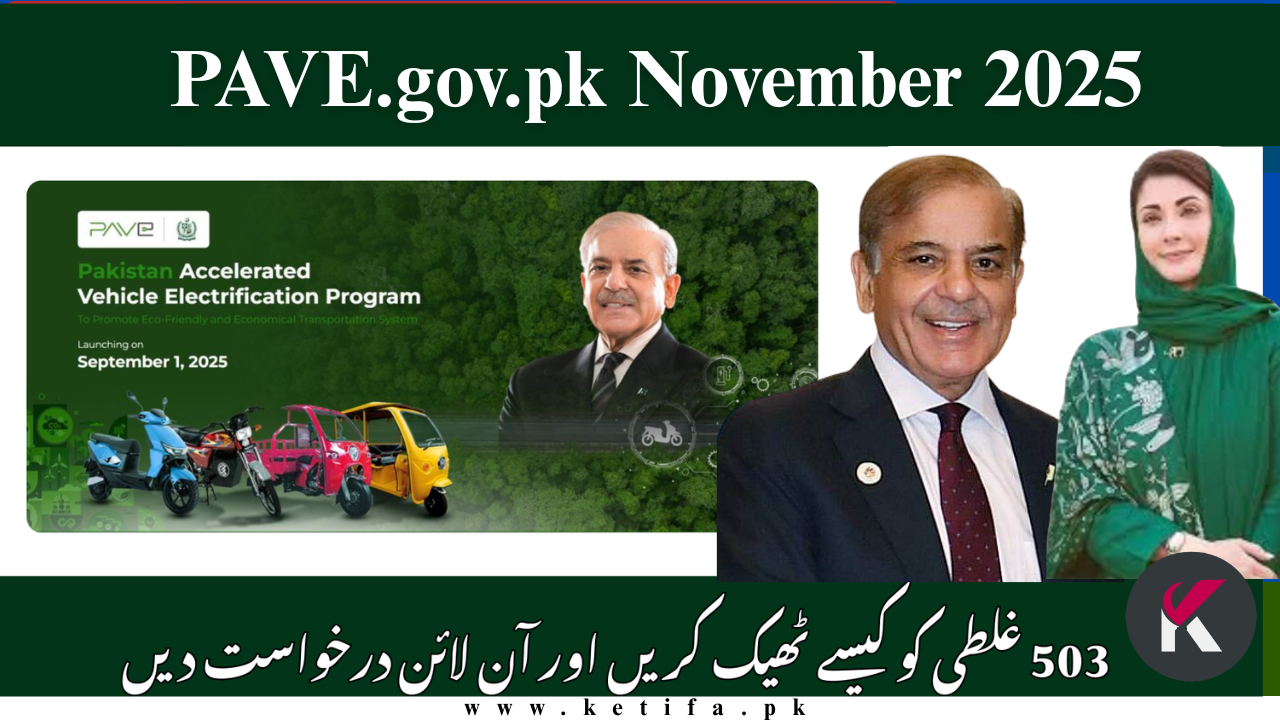 PAVE.gov.pk November 2025