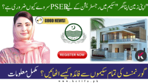 PSER Role in the AZAG Scheme – Is It Mandatory for Registration? Updated Complete Guide