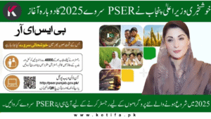PSER Survey Punjab 2025 – Complete Online Registration, 8171 Guide & Last Date Details