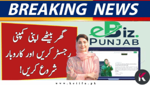 eBiz Punjab Portal – A Complete Digital Hub for Business Registration and Permits