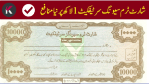 Short Term Savings Certificates: Total Profit on a Rs1 Million Investment in December 2025